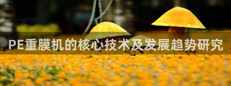 辉达娱乐时时彩平台