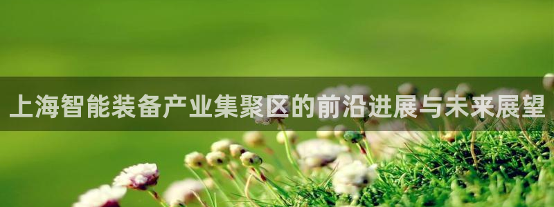 辉达平台官网电话