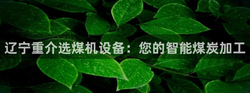 龙腾辉达电子娱乐