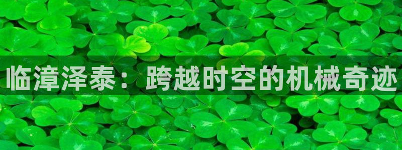 辉达娱乐珈75775