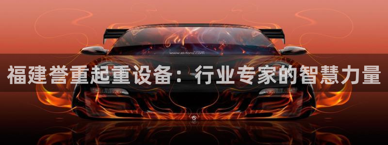 辉达娱乐公司