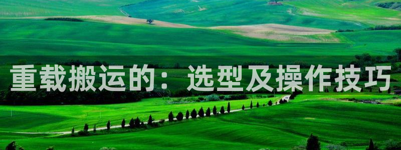 辉达平台官网电话