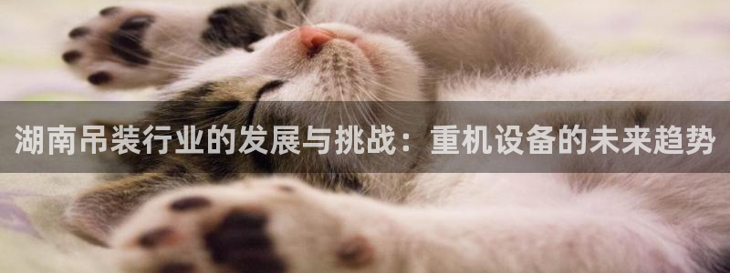 辉达娱乐最新消息新闻