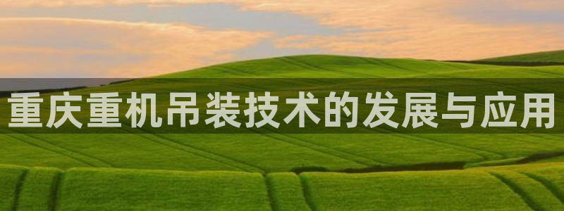 达娱乐辉70667：重庆重机吊装技术的发展与应用