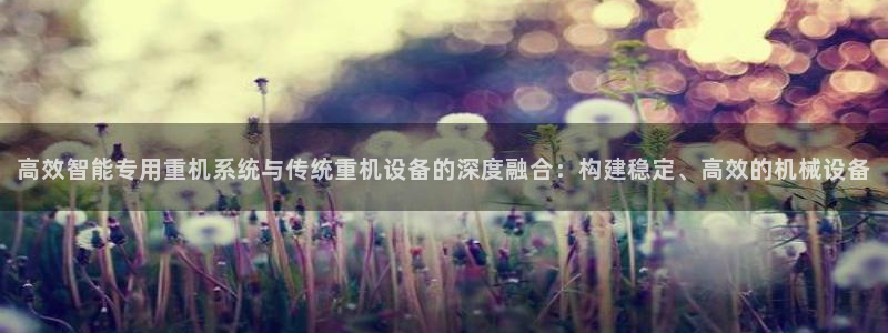 信誉辉达娱乐：高效智能专用重机系统与传统重机设备的深度融合：