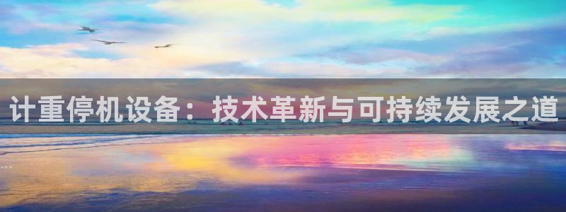 辉达平台注册资金多少：计重停机设备：技术革新与可持续发展之道