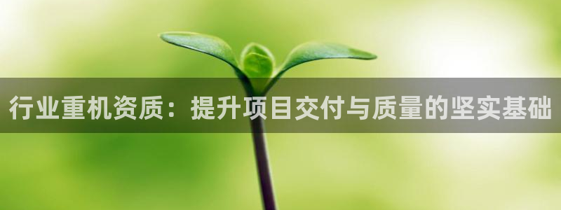 辉达娱乐网址