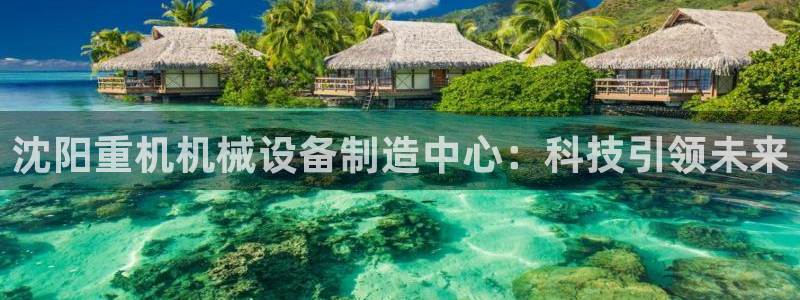 辉达娱乐检测