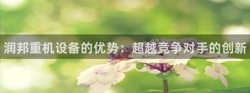 辉达娱乐体彩：润邦重机设备的优势：超越竞争对手的创新