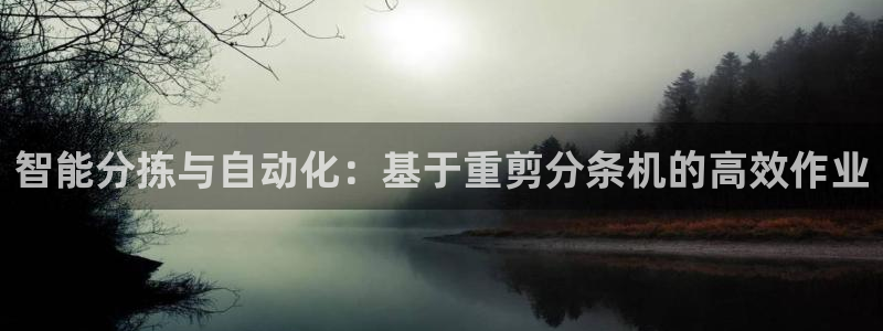 辉达平台官网下载：智能分拣与自动化：基于重剪分条机的高效作业