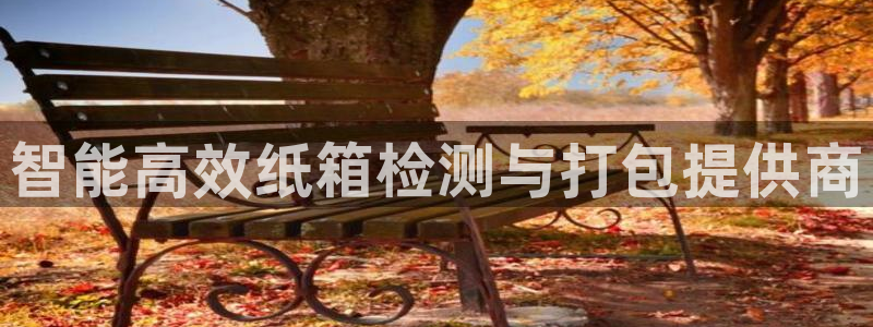 辉达娱乐线路检测：智能高效纸箱检测与打包提供商