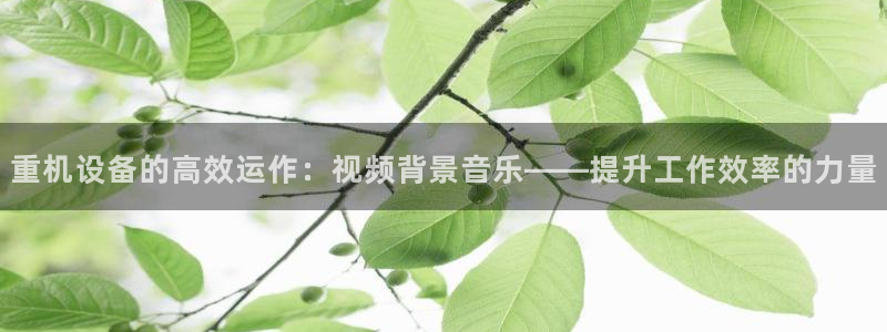 辉达娱乐珈75775