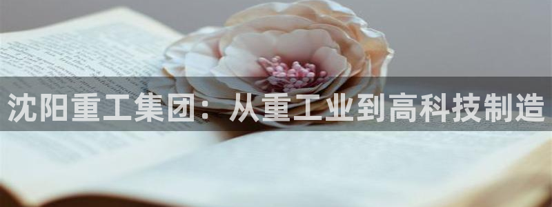 辉达娱乐重庆时时彩：沈阳重工集团：从重工业到高科技制造