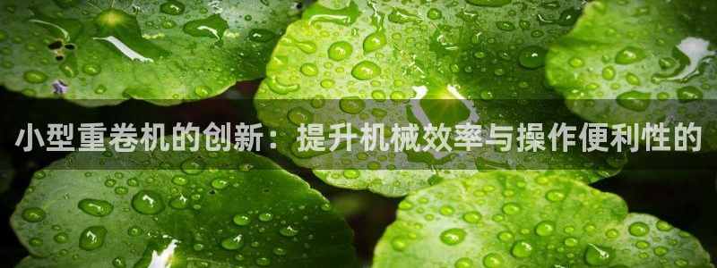 辉达娱乐属于什么档次：小型重卷机的创新：提升机械效率与操作便
