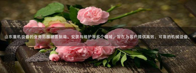 辉达平台注册：山东重机设备的业务范围涵盖制造、安装与维护等多