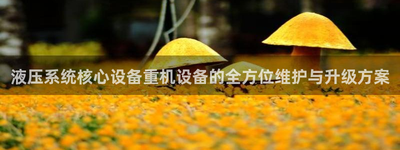 辉达平台注册资金多少：液压系统核心设备重机设备的全方位维护与