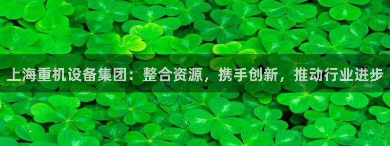 辉达娱乐加q75775稳定：上海重机设备集团：整合资源，携手