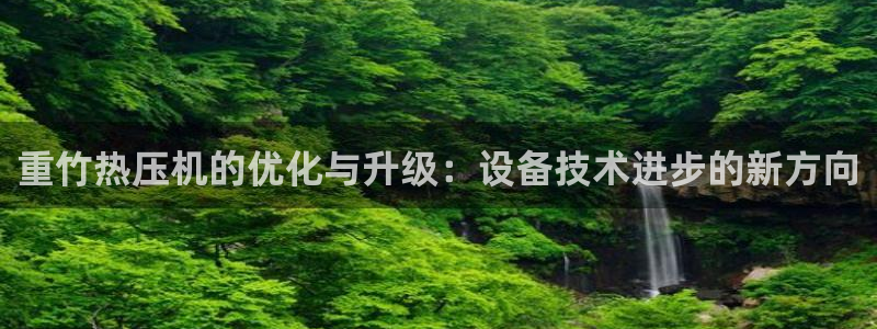 辉达官网登录入口入口：重竹热压机的优化与升级：设备技术进步的