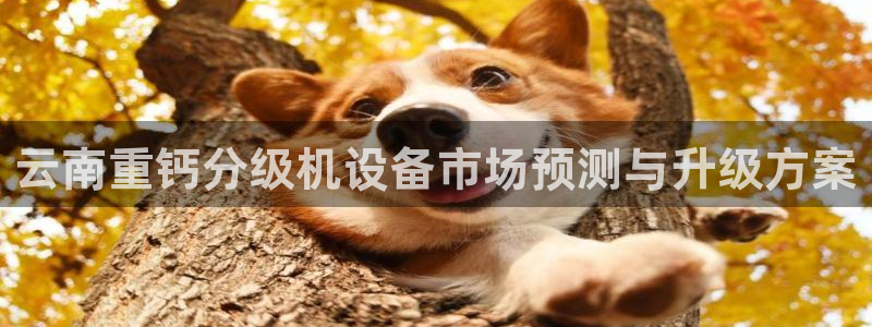 辉达平台注册：云南重钙分级机设备市场预测与升级方案