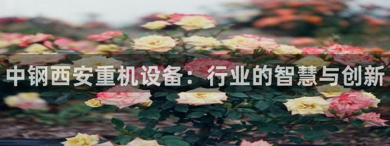辉达怎么样：中钢西安重机设备：行业的智慧与创新