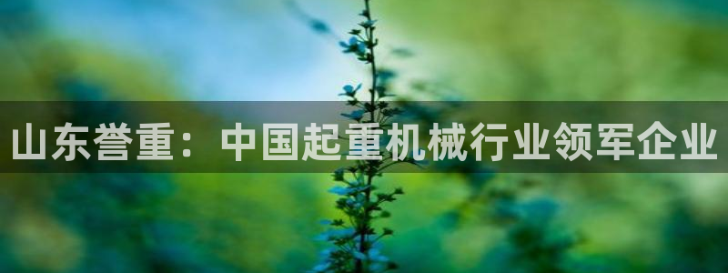 辉达平台注册：山东誉重：中国起重机械行业领军企业