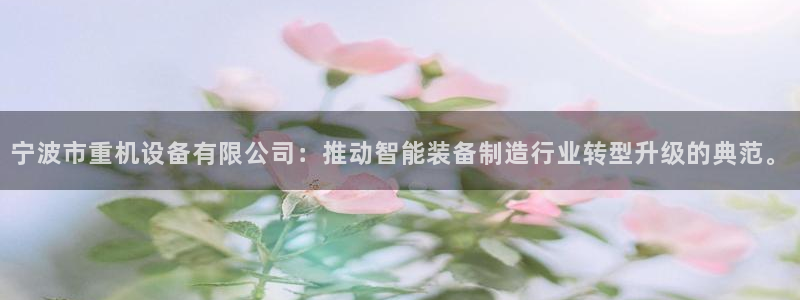 辉达娱乐加扣75775