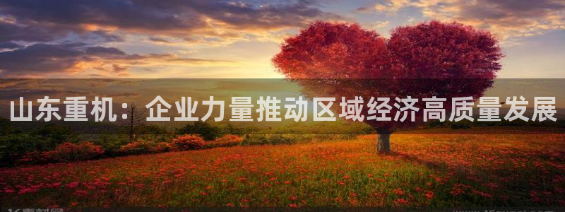 辉达集团官方网站