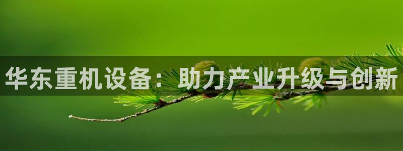 辉达娱乐最新消息新闻