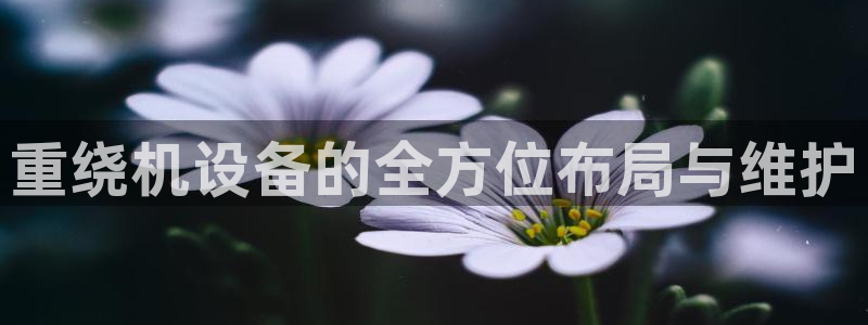 辉达娱乐时时彩