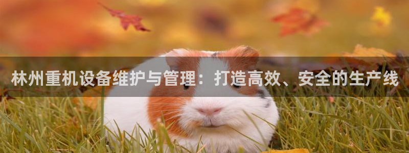 辉达娱乐重庆时时彩注册