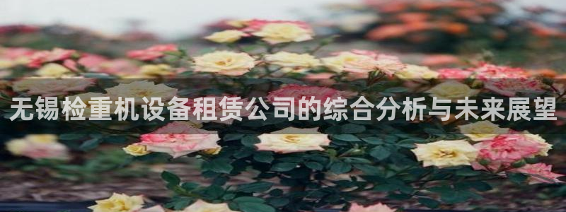 辉达娱乐电子