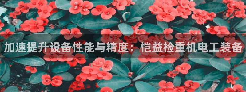 辉达娱乐加扣75775