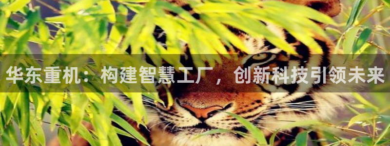 辉达平台官网下载：华东重机：构建智慧工厂，创新科技引领未来