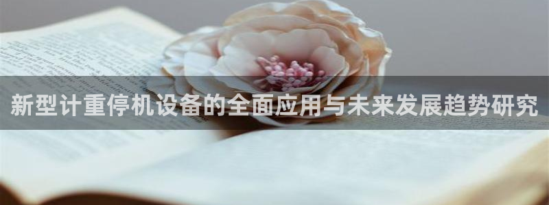 辉达娱乐待遇：新型计重停机设备的全面应用与未来发展趋势研究