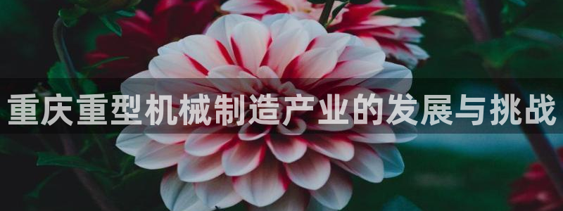 辉达娱乐兼职：重庆重型机械制造产业的发展与挑战