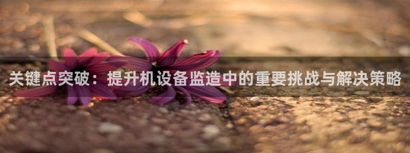 辉达娱乐加q75775