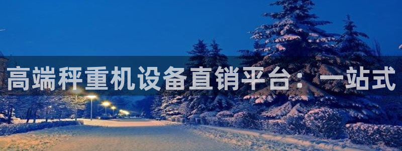 辉达娱乐官方网址：高端秤重机设备直销平台：一站式