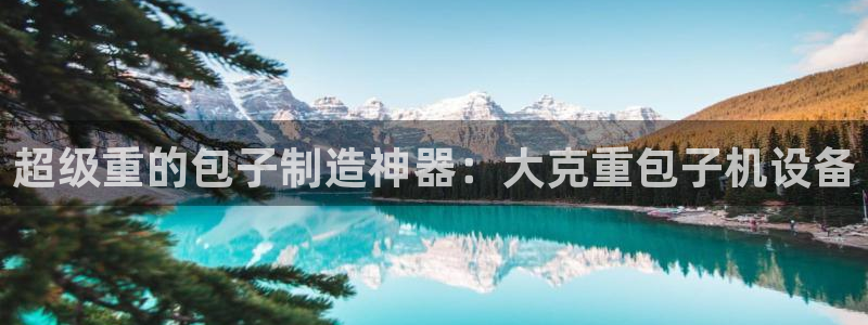 信誉辉达娱乐平台：超级重的包子制造神器：大克重包子机设备