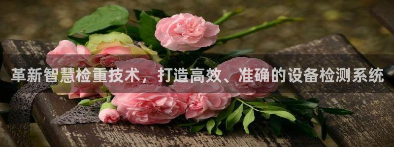 辉达娱乐五75505：革新智慧检重技术，打造高效、准确的设备