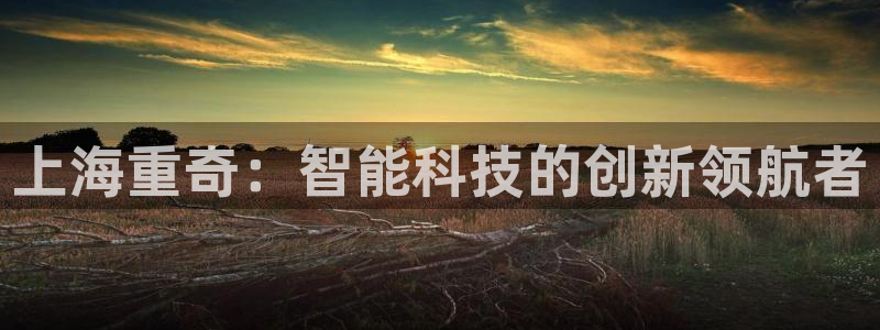 辉达娱乐新疆时时彩：上海重奇：智能科技的创新领航者