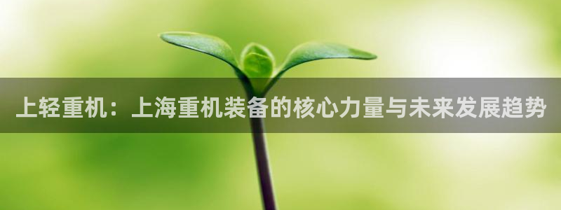 辉达平台官网网站：上轻重机：上海重机装备的核心力量与未来发展