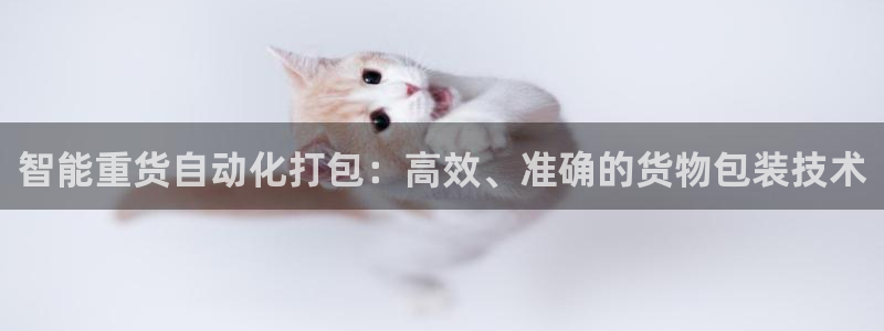 辉达娱乐时时彩平台：智能重货自动化打包：高效、准确的货物包装
