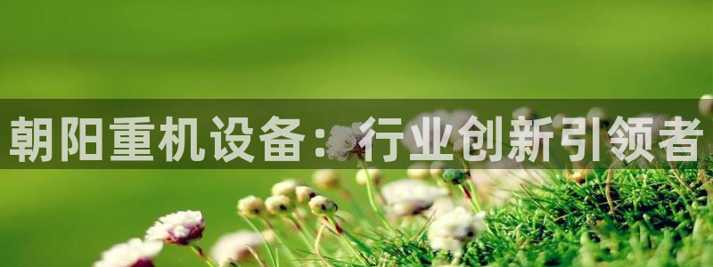 辉达娱乐最新版本更新内容：朝阳重机设备：行业创新引领者