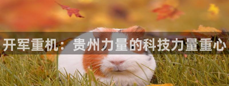 辉达平台注册入口