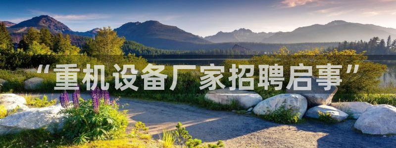 辉达娱乐加q75775