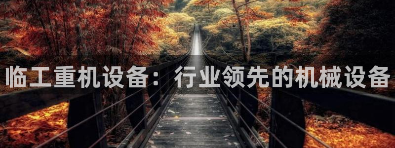 信誉辉达娱乐在线游戏：临工重机设备：行业领先的机械设备