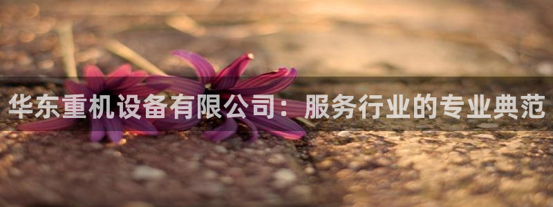 信誉辉达娱乐开户注册：华东重机设备有限公司：服务行业的专业典