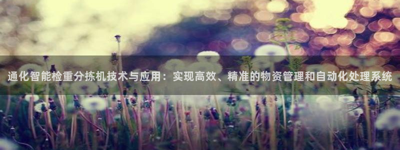 辉达娱乐计划软件：通化智能检重分拣机技术与应用：实现高效、精