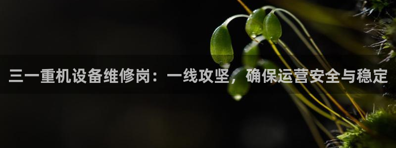 正规辉达娱乐平台：三一重机设备维修岗：一线攻坚，确保运营安全
