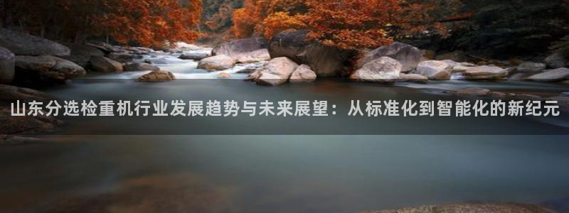 辉达娱乐注册：山东分选检重机行业发展趋势与未来展望：从标准化
